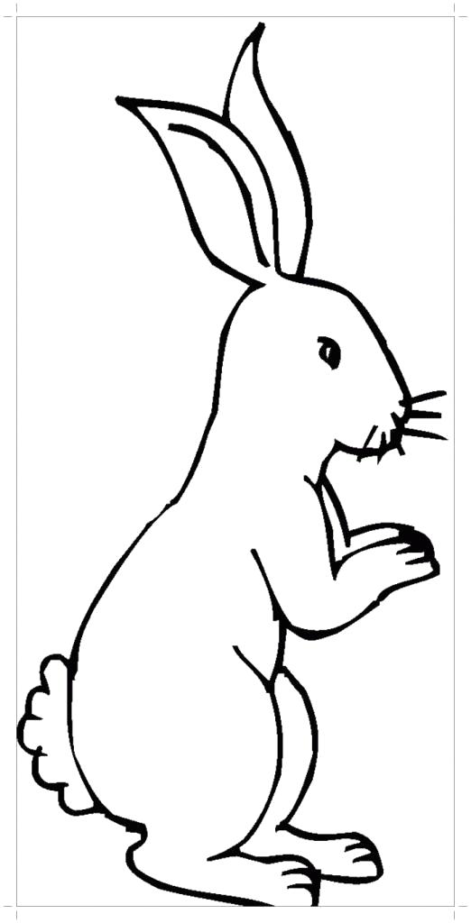 Название: Раскраска Заяц раскраска. Категория: Дикие животные. Теги: Заяц.