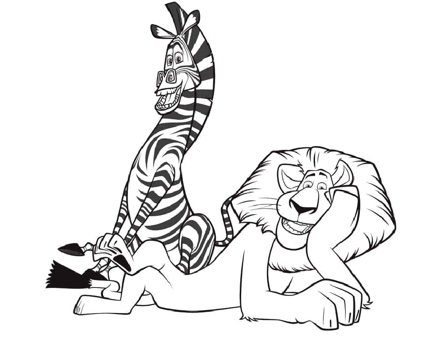Раскраска зебра и лев. Мадагаскар