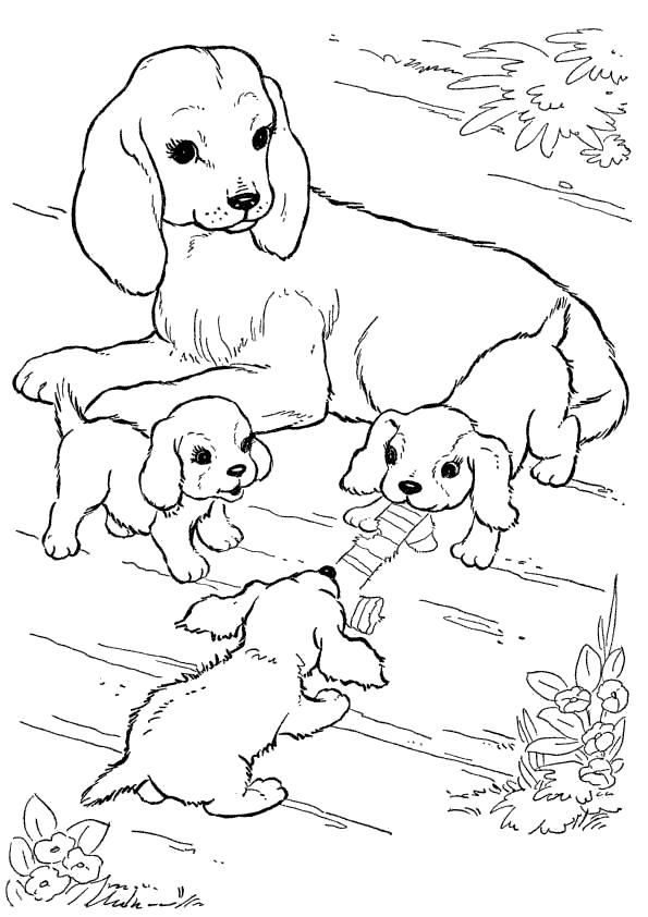 Название: Раскраска мама и щенята. Категория: Собаки. Теги: Собаки.