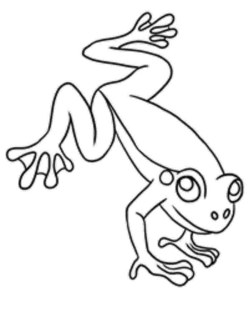 Раскраска картинка лягушка раскраска для детей8. лягушка