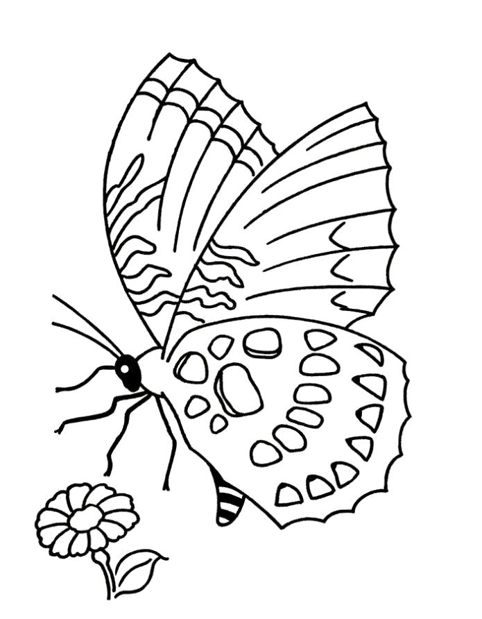 Раскраска Разукрашка бабочка детская. Скачать бабочка.  Распечатать бабочка