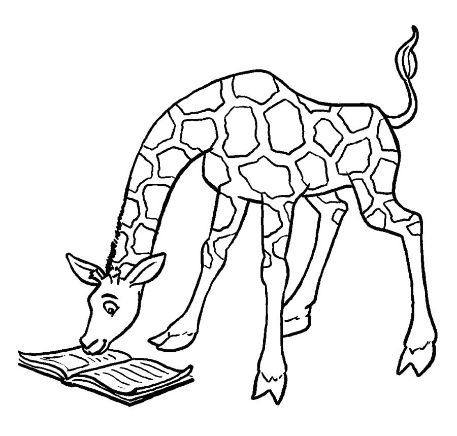 Название: Раскраска Жираф читает книгу . Категория: Дикие животные. Теги: жираф.