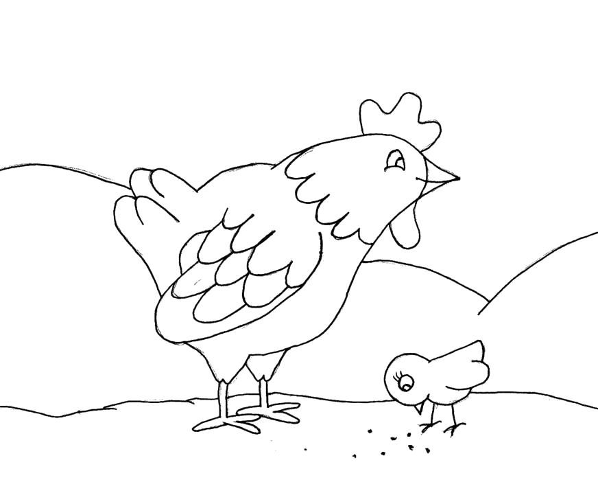Раскраска  курица и цыпленок. Домашние животные