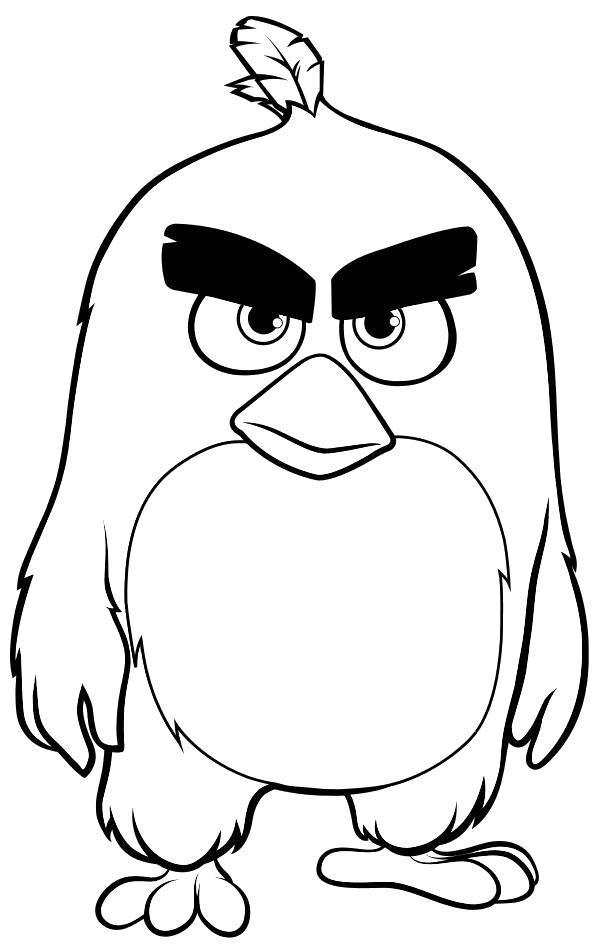 Раскраска  Angry Birds - Ред. 