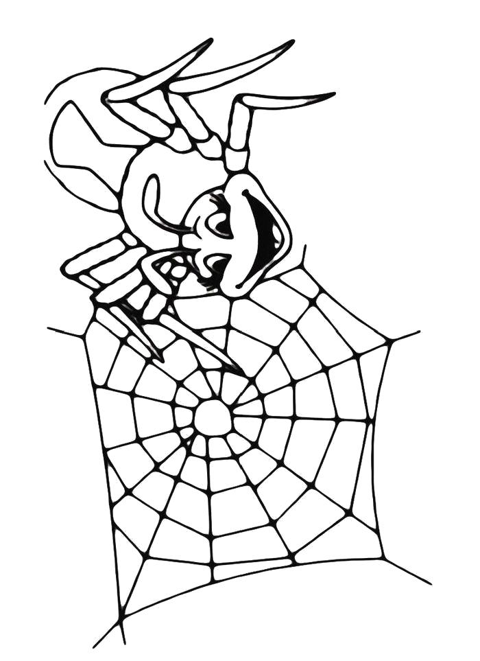 Раскраска Раскраска Паук плетет паутину. Паук