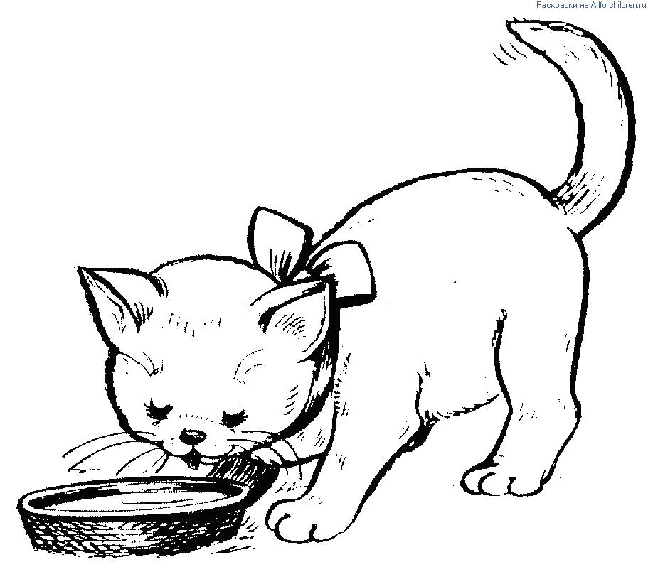 Название: Раскраска Раскраски Котята. Категория: Домашние животные. Теги: кошка, Котенок.