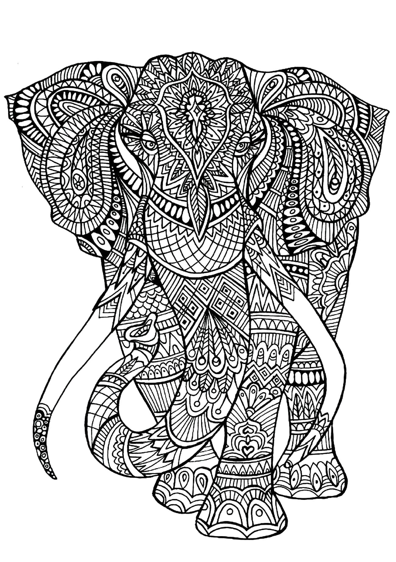 Раскраска слон. 