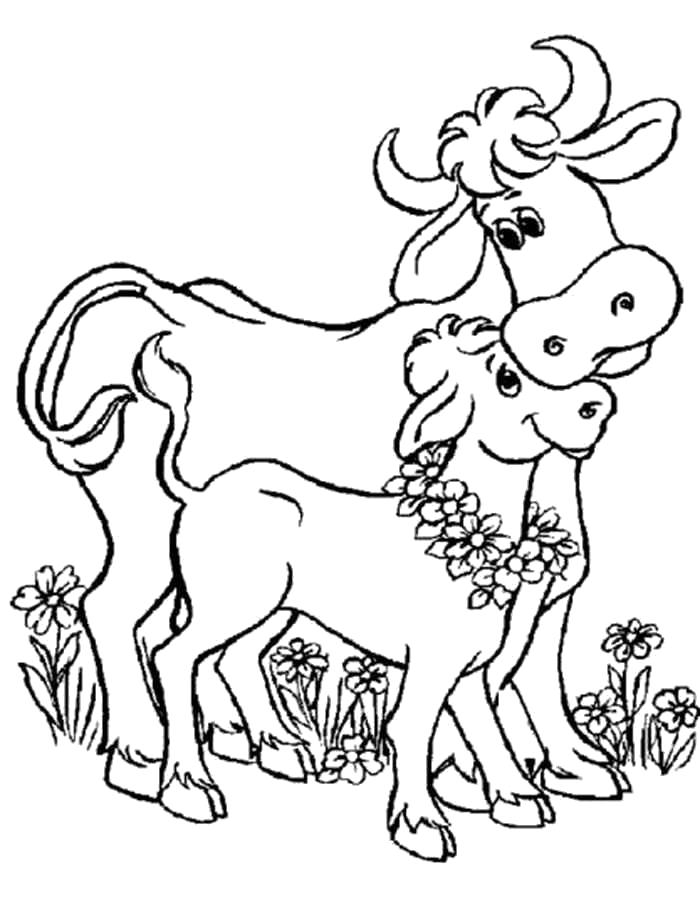 Раскраска Раскраска корова с буренком. Корова