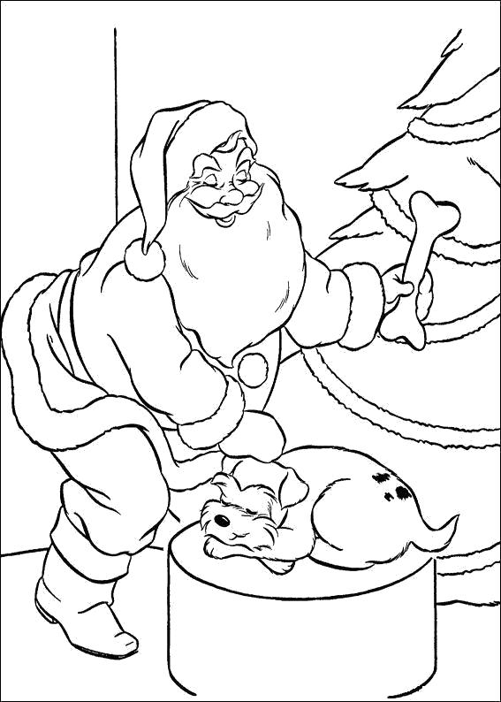 Раскраска Дед мороз вешает на елку косточку ля собачки. Скачать новогодние.  Распечатать новогодние