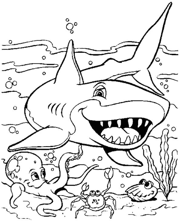 Раскраска акула с открытой пастью. Морские животные