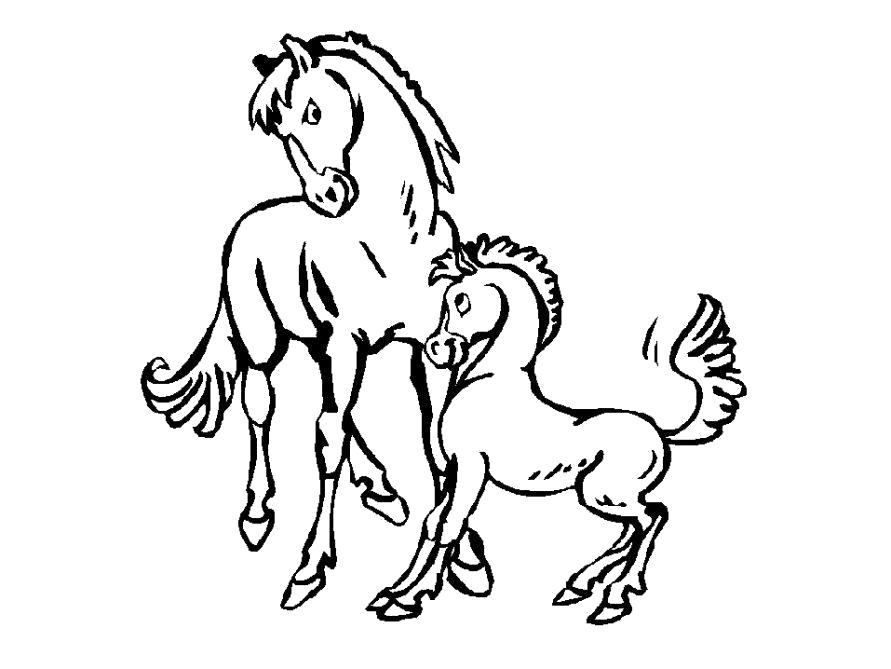 Название: Раскраска Раскраска Лошадь и жеребенок. Категория: Домашние животные. Теги: Лошадь.