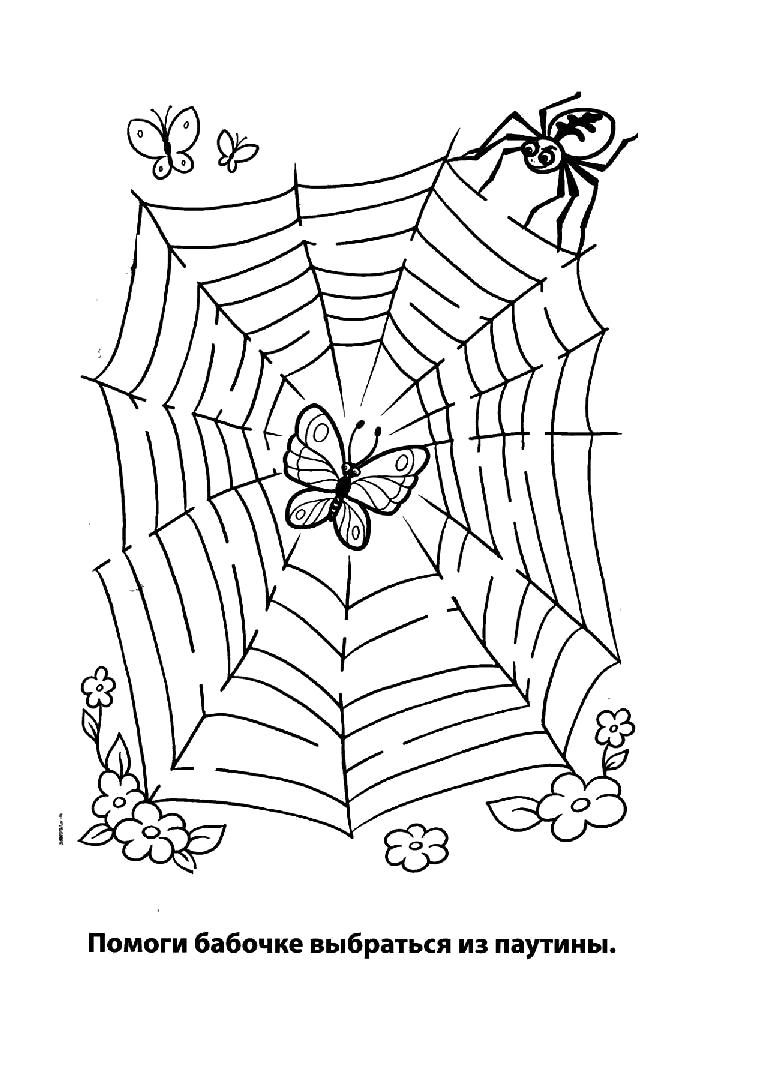 Раскраска бабочка в паутине