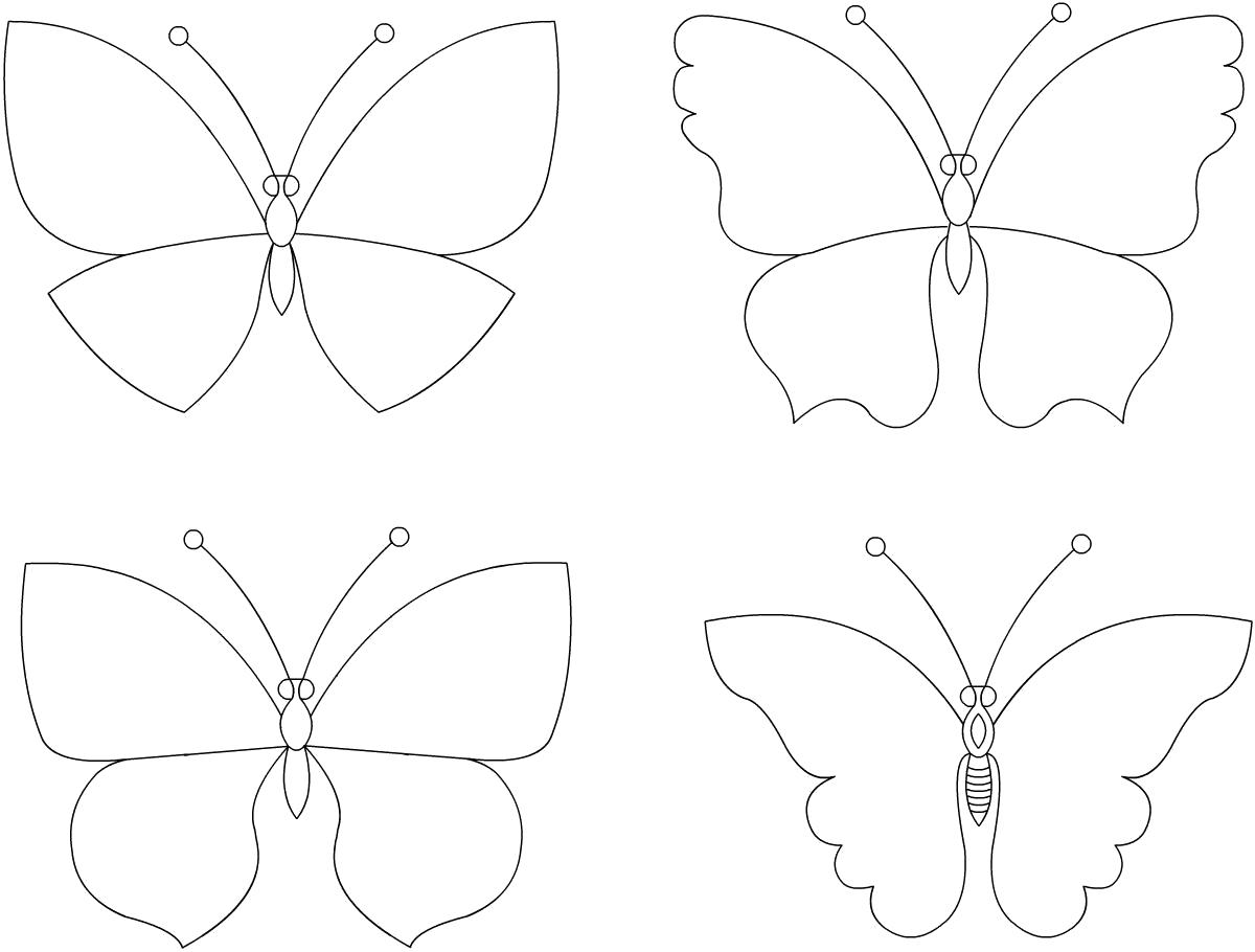 Раскраска как нарисовать бабочку. Бабочки