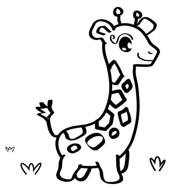 Раскраска маленький Жирафик. Скачать жираф.  Распечатать Дикие животные