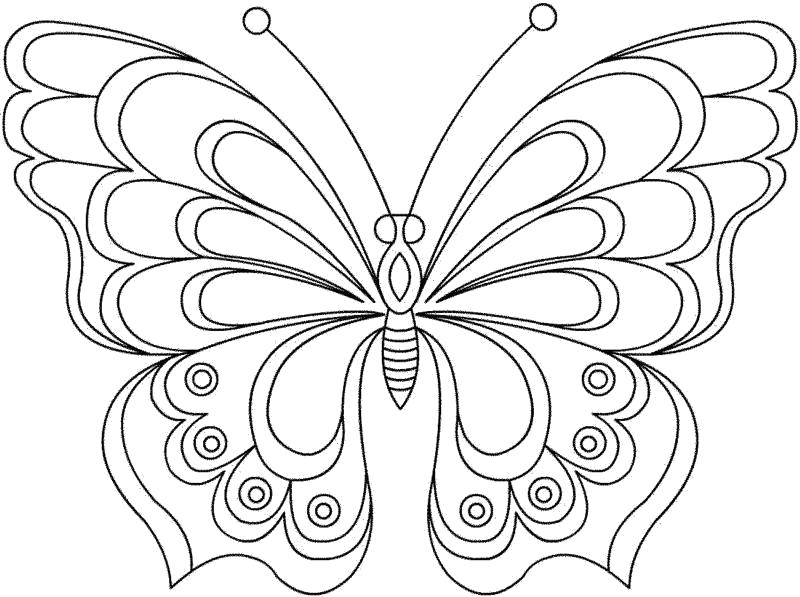 Раскраска Бабочка на цветке для малышей