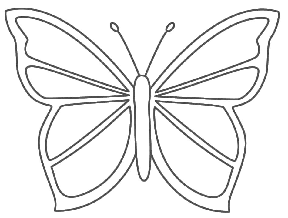 Раскраска контуры бабочки. Насекомые