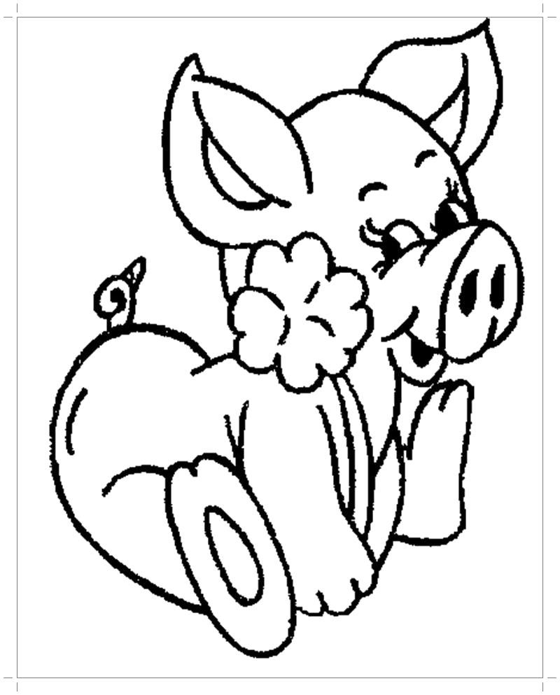 Раскраска  свинья с цветочком. Домашние животные