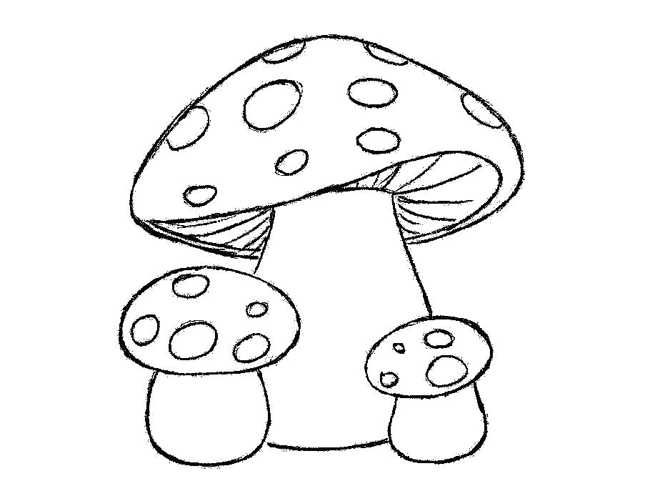 Раскраска Раскраски шаблон гриба мухоморы для аппликаций, заготовки из бумаги. растения
