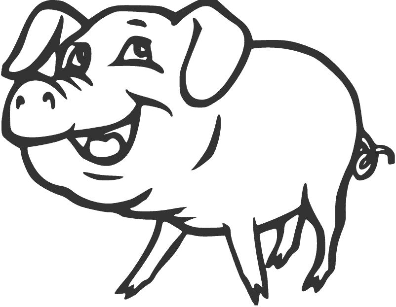 Название: Раскраска Свинка. Категория: Домашние животные. Теги: Свинья.