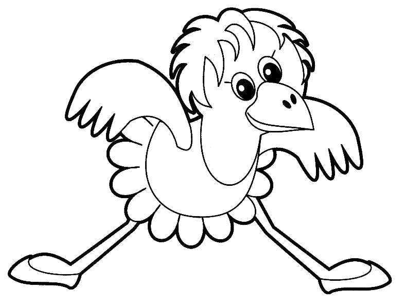 Название: Раскраска Раскраски "ворона" скачать и распечатать бесплатно. Категория: Ворона. Теги: Ворона.