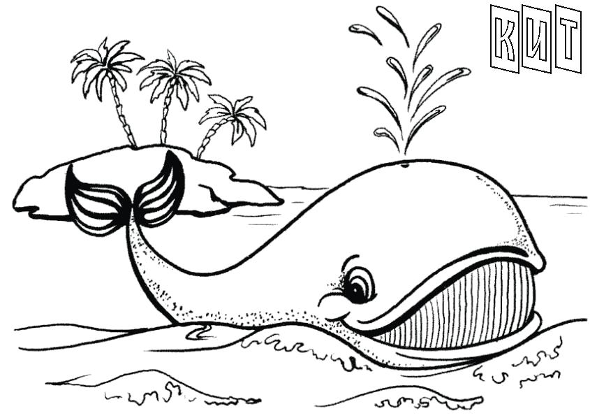 Название: Раскраска Раскраски остров море, кит, раскраска, остров. Категория: Морские животные. Теги: Кит.