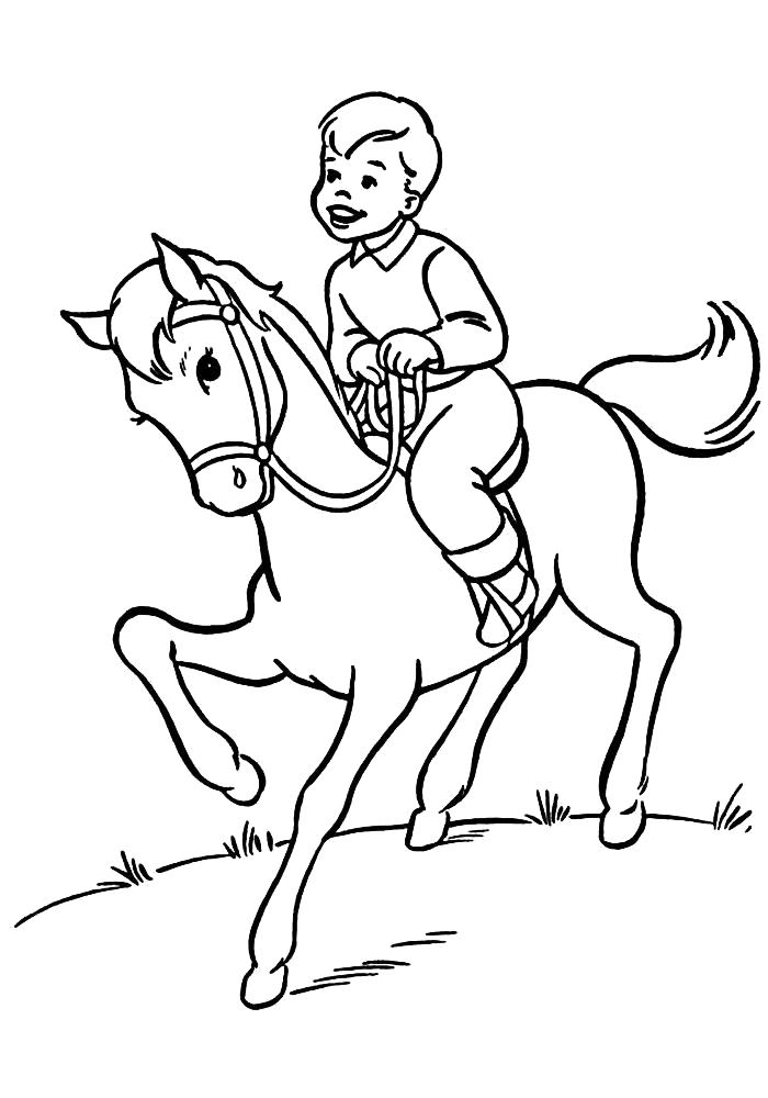 Раскраска  мальчик на лошади. Скачать Лошади.  Распечатать Лошади