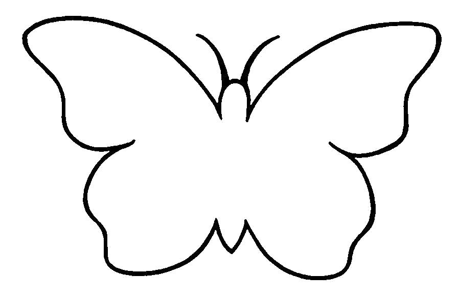 Раскраска контур бабочки. Скачать Бабочки.  Распечатать Бабочки