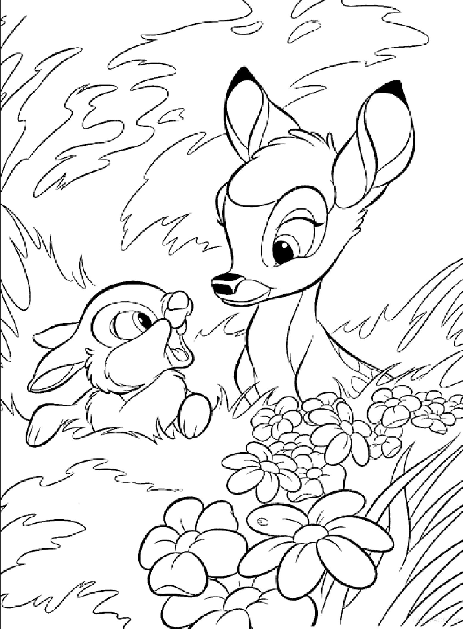 Раскраска  для девочек Кролик и оленёнок. Скачать Кролик.  Распечатать Кролик