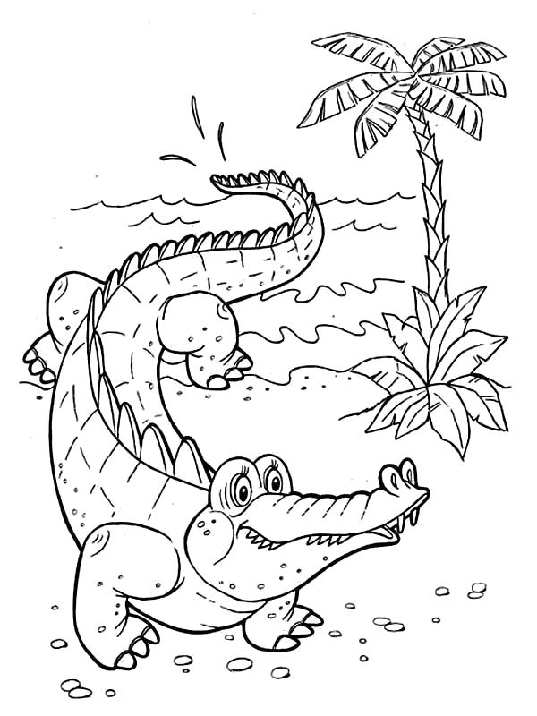 Раскраска улыбчевый Крокодил. Скачать крокодил.  Распечатать Дикие животные