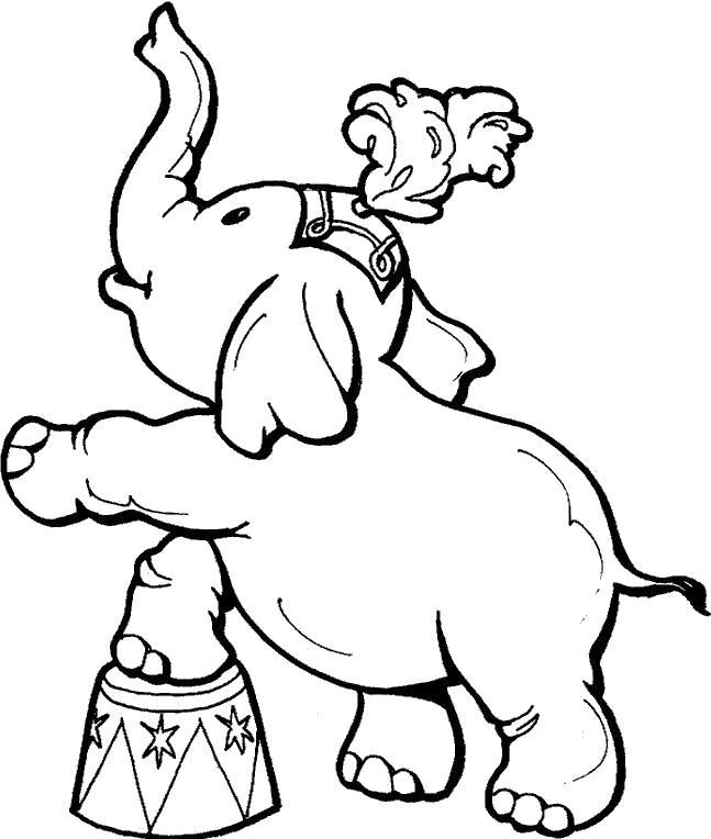 Раскраска слон в цирке раскраска. Дикие животные