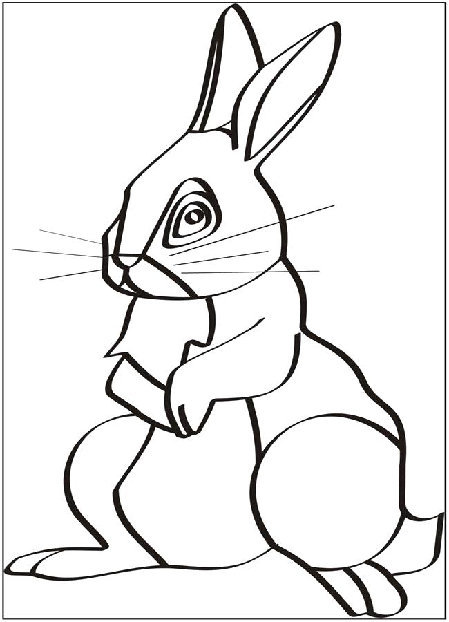 Раскраска Раскраски заяц . Дикие животные