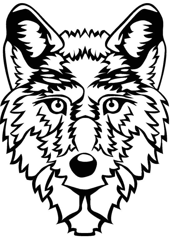 Название: Раскраска Морда волка. Категория: Дикие животные. Теги: волк.