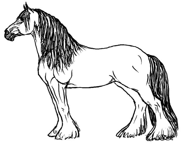 Раскраска Раскраска лошадь . Домашние животные