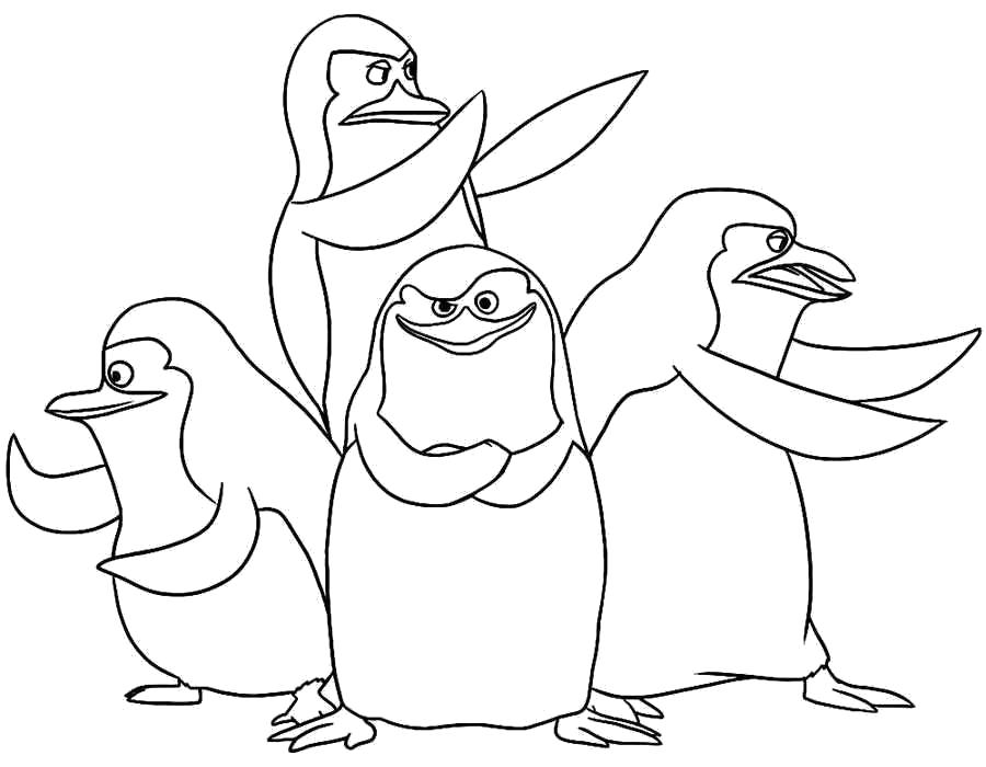 Раскраска Команда пингвинов. Скачать Мадагаскар.  Распечатать Мадагаскар
