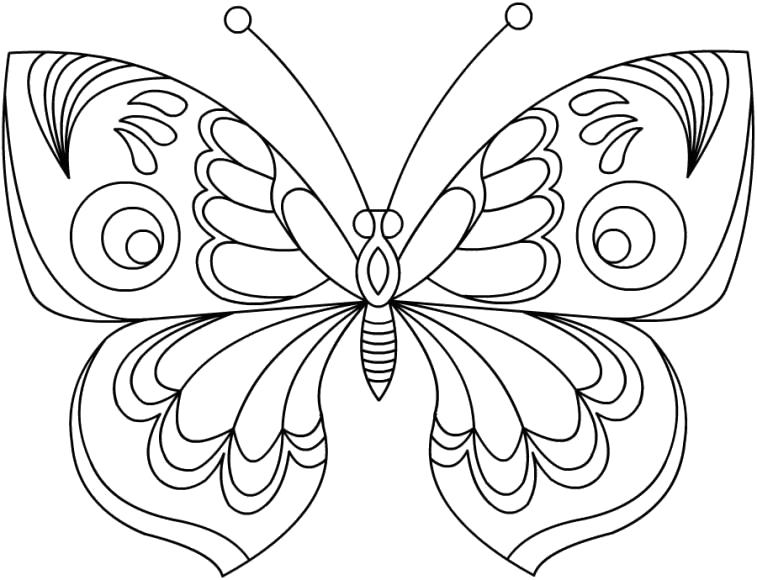 Раскраска Чудесная бабочка. Скачать .  Распечатать 