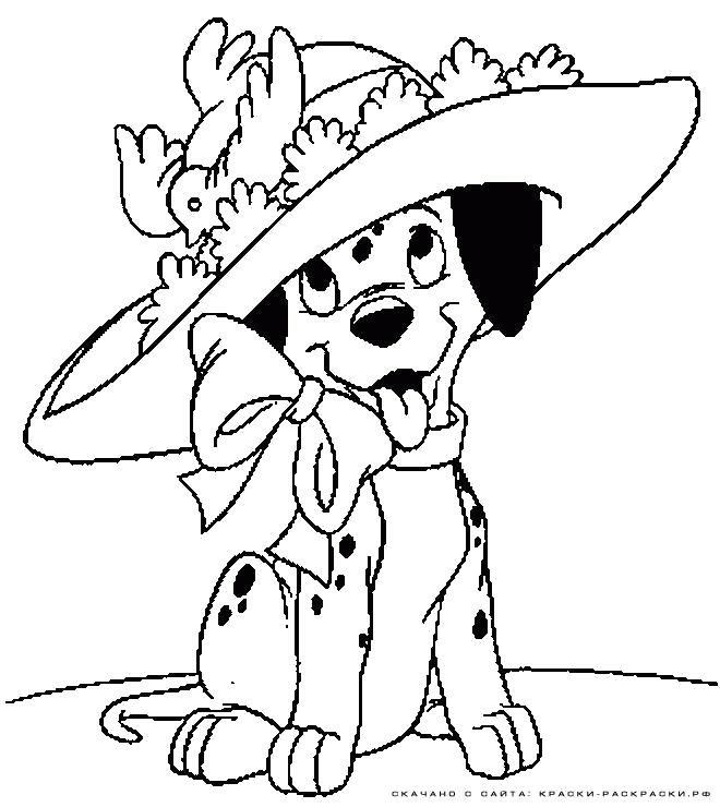 Раскраска Раскраска - щенок в шляпе. Домашние животные