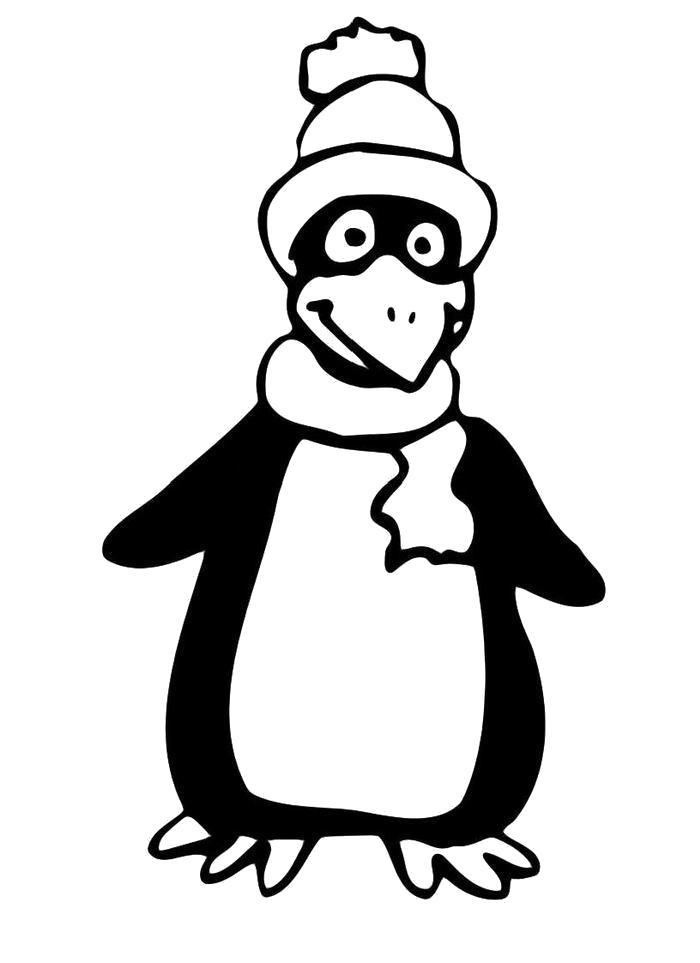 Раскраска  Пингвин в шарфике и шапке. Скачать .  Распечатать 