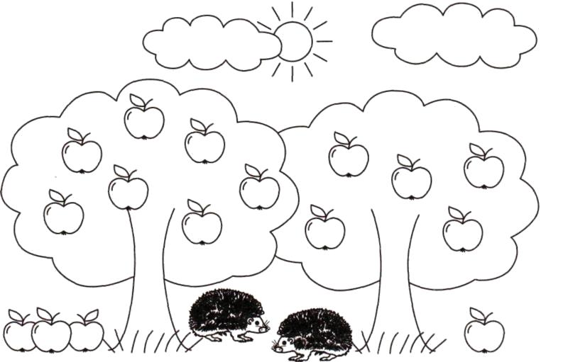 Раскраска Раскраски "дерево с яблоками" скачать и распечатать бесплатно. Контуры дервеьев
