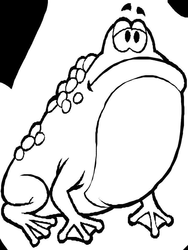 Раскраска  Грустная жаба. 