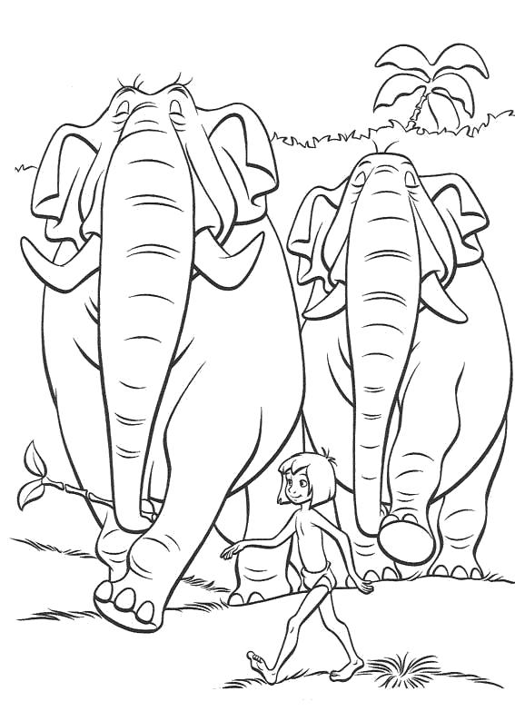 Раскраска Слоны и маугли. Скачать книга джунглей.  Распечатать книга джунглей
