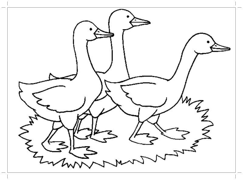 Название: Раскраска Раскраски к сказке гуси лебеди. Категория: сказки. Теги: гуси лебеди.