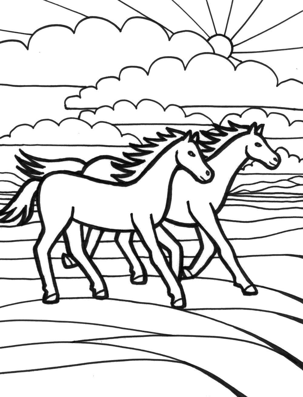 Раскраска Раскраски лошади . Домашние животные