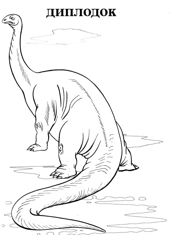 Раскраска  Динозавры, диплодок. Скачать динозавр.  Распечатать динозавр