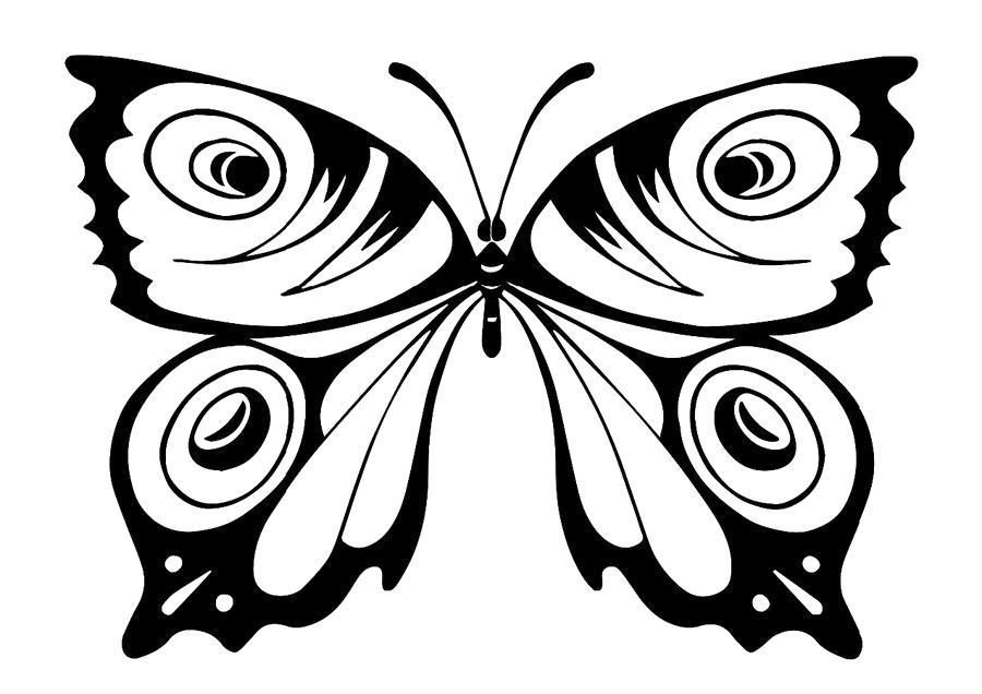 Раскраска бабочка. Скачать Бабочки.  Распечатать Насекомые