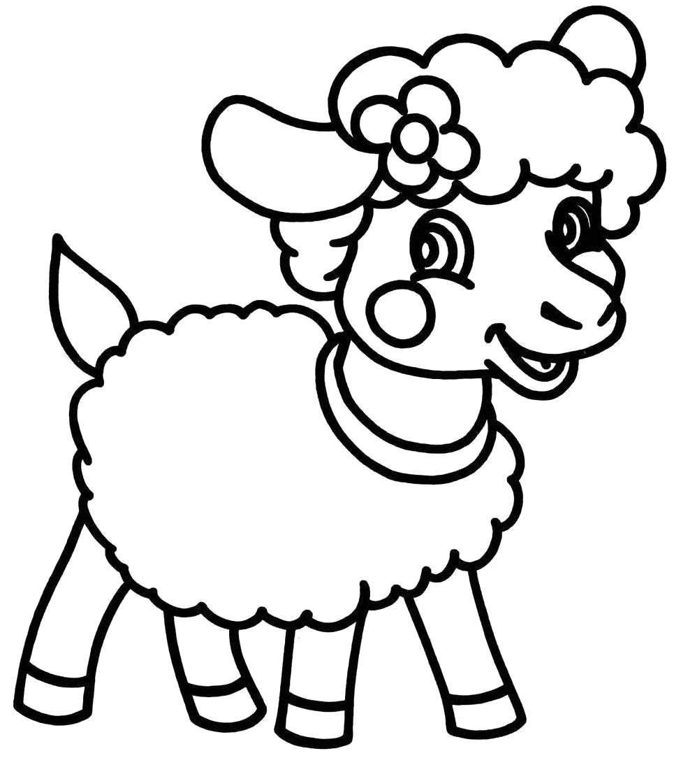 Раскраска овечка. Скачать Овца.  Распечатать Домашние животные