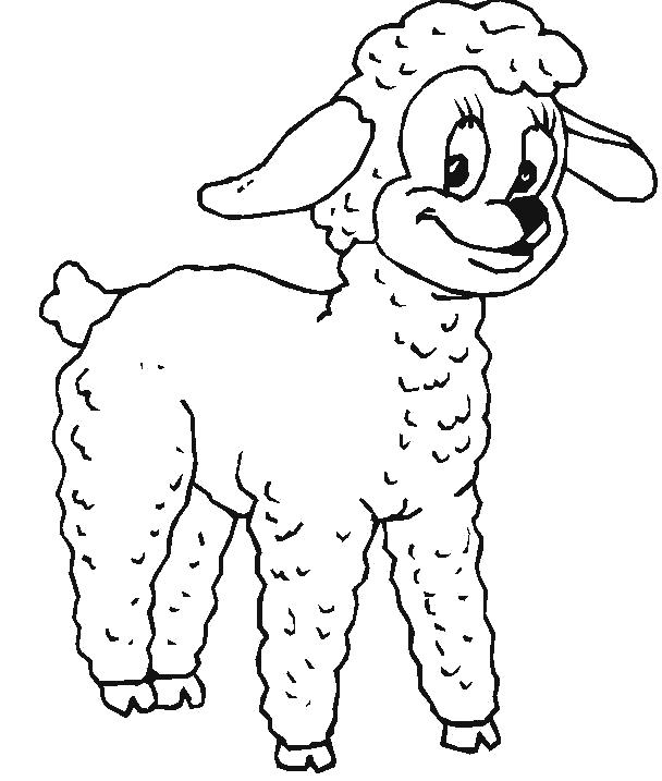 Название: Раскраска Пушистик. Категория: Домашние животные. Теги: Овца.