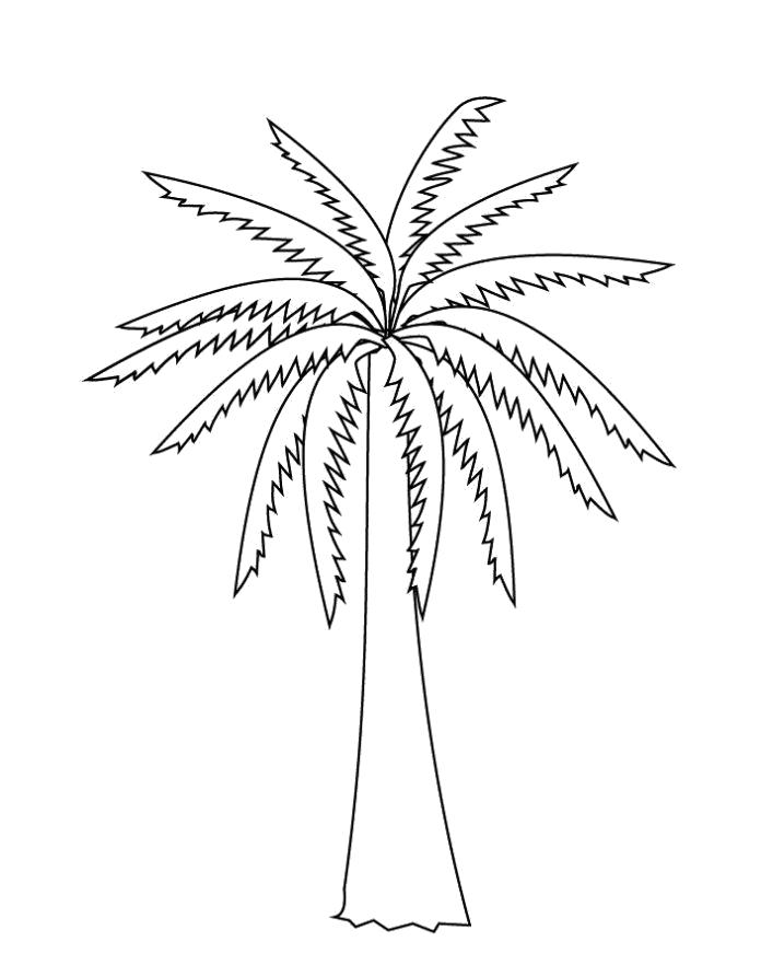 Раскраска Раскраска пальма ребенку. пальма