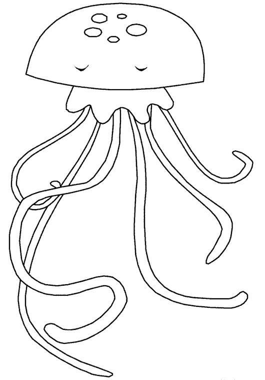 Раскраска большая медуза. медуза