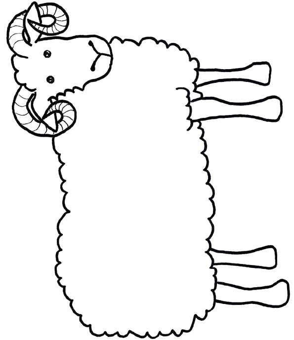 Название: Раскраска баран . Категория: Домашние животные. Теги: Овца, Баран.