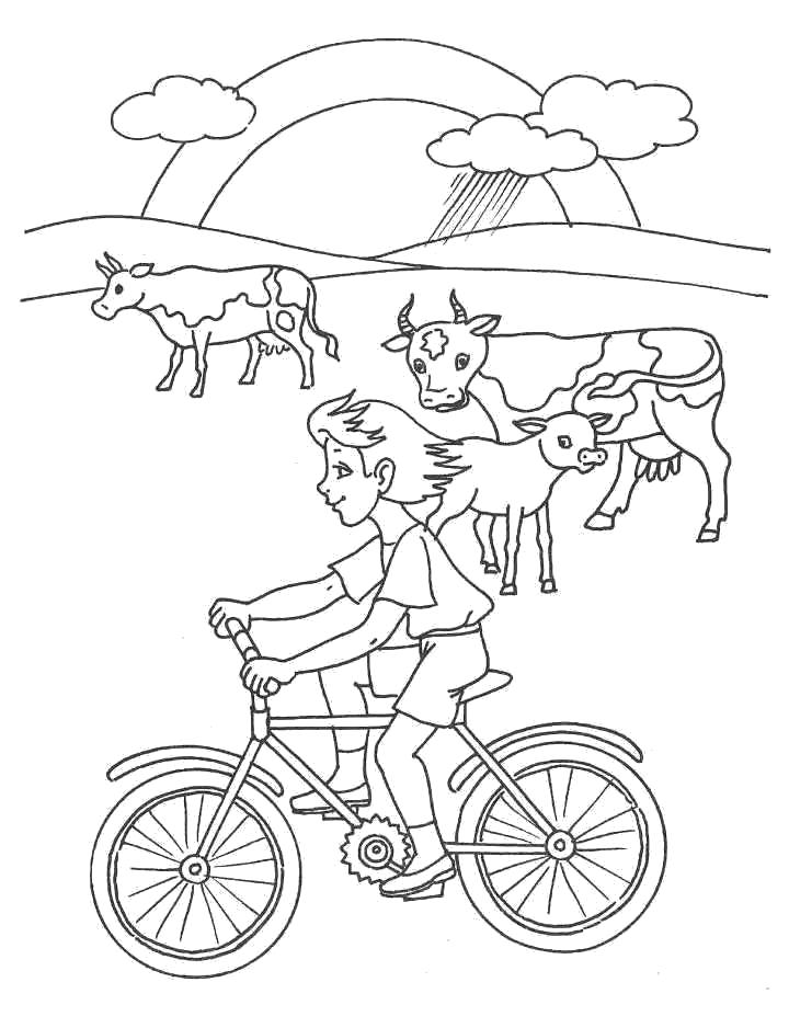 Название: Раскраска девочка едет на велосипеде, коровы посутся на лугу. Категория: Лето. Теги: Лето.